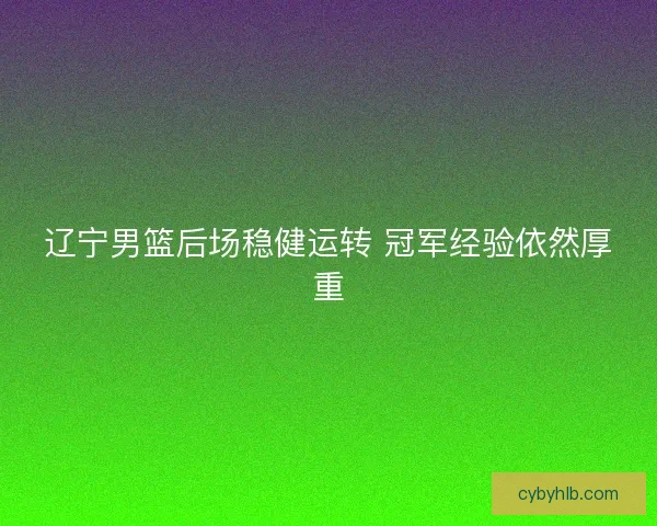 辽宁男篮后场稳健运转 冠军经验依然厚重